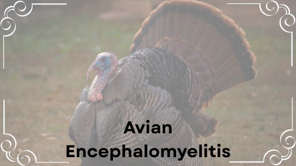 Avian Encephalomyelitis